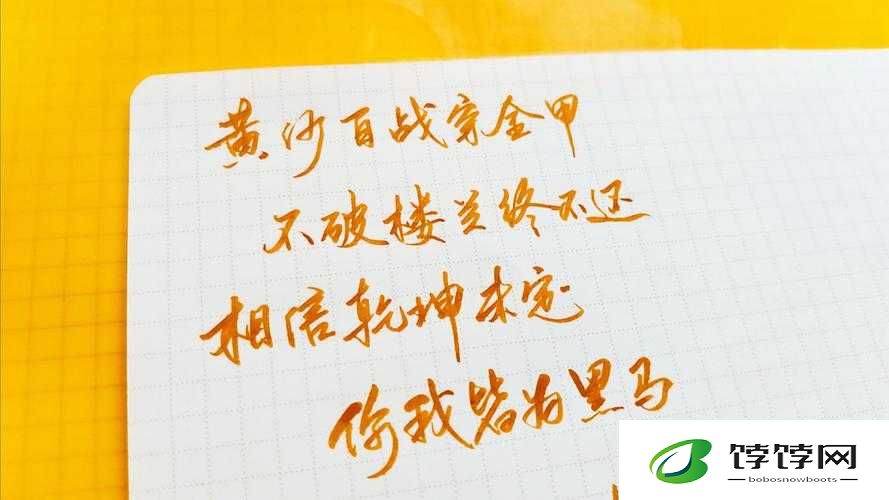 老年镖客：黄沙百战穿金甲，每集 15 分钟