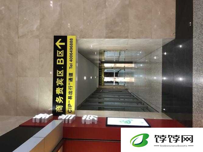 神秘通道 vip5 入口：前方有惊喜